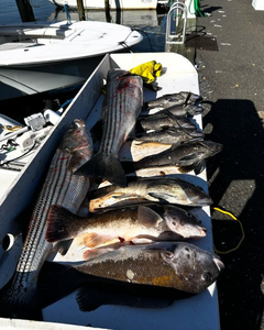 New Jersey Fishing Haul